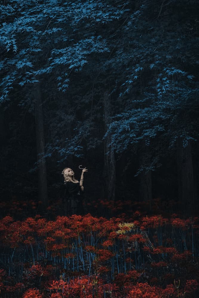 Mysterious Woman Red Forest by KOIKI — canvas wall art