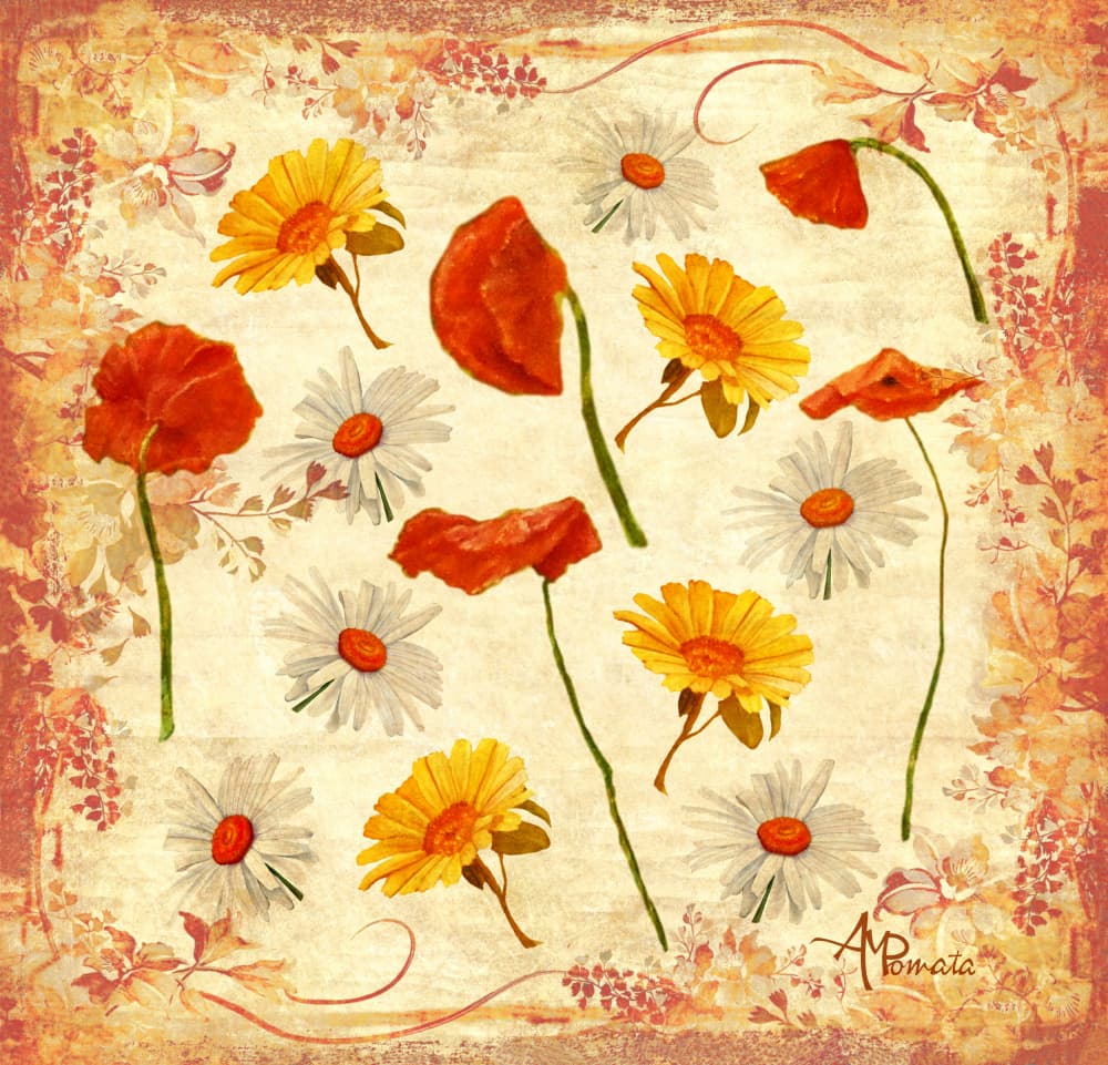 Cheerful Poppies And Daisies by Angeles M. Pomata — canvas wall art