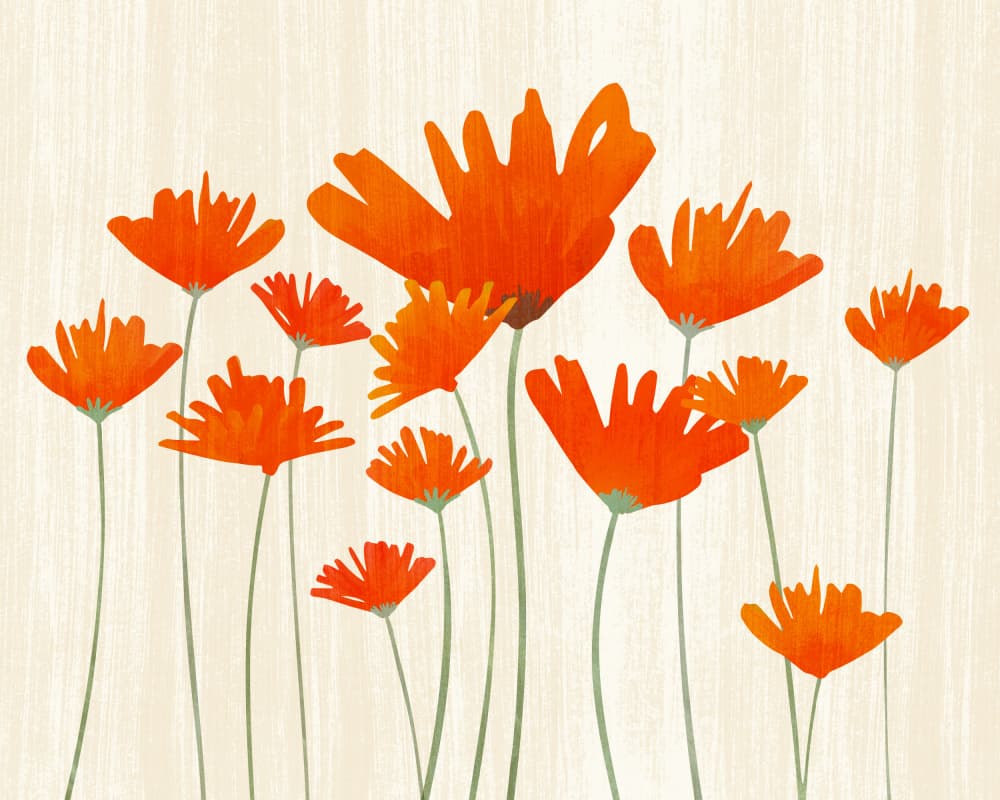 Red Poppy Meadow 1 by Kristian Gallagher — canvas wall art