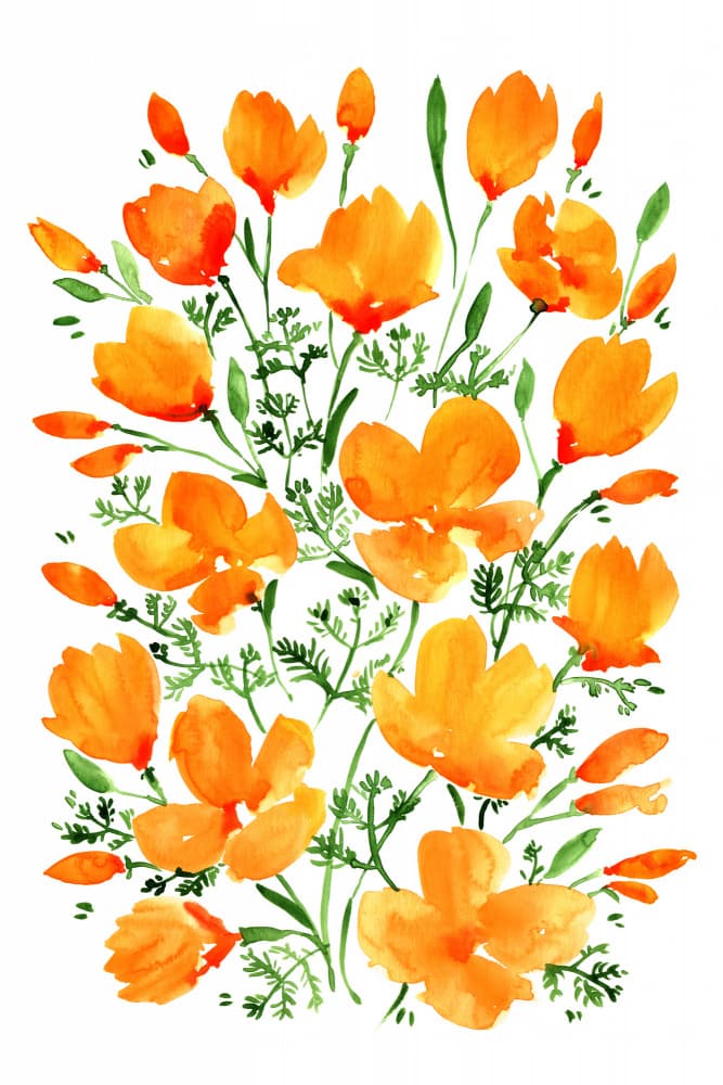 Orange Watercolor Flowers by Rosana Laiz Blursbyai — canvas wall art