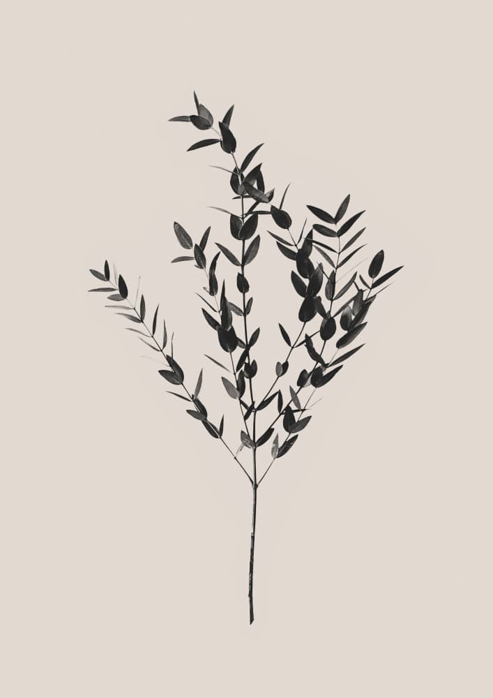Inky Botanical by Kathrin Pienaar — canvas wall art