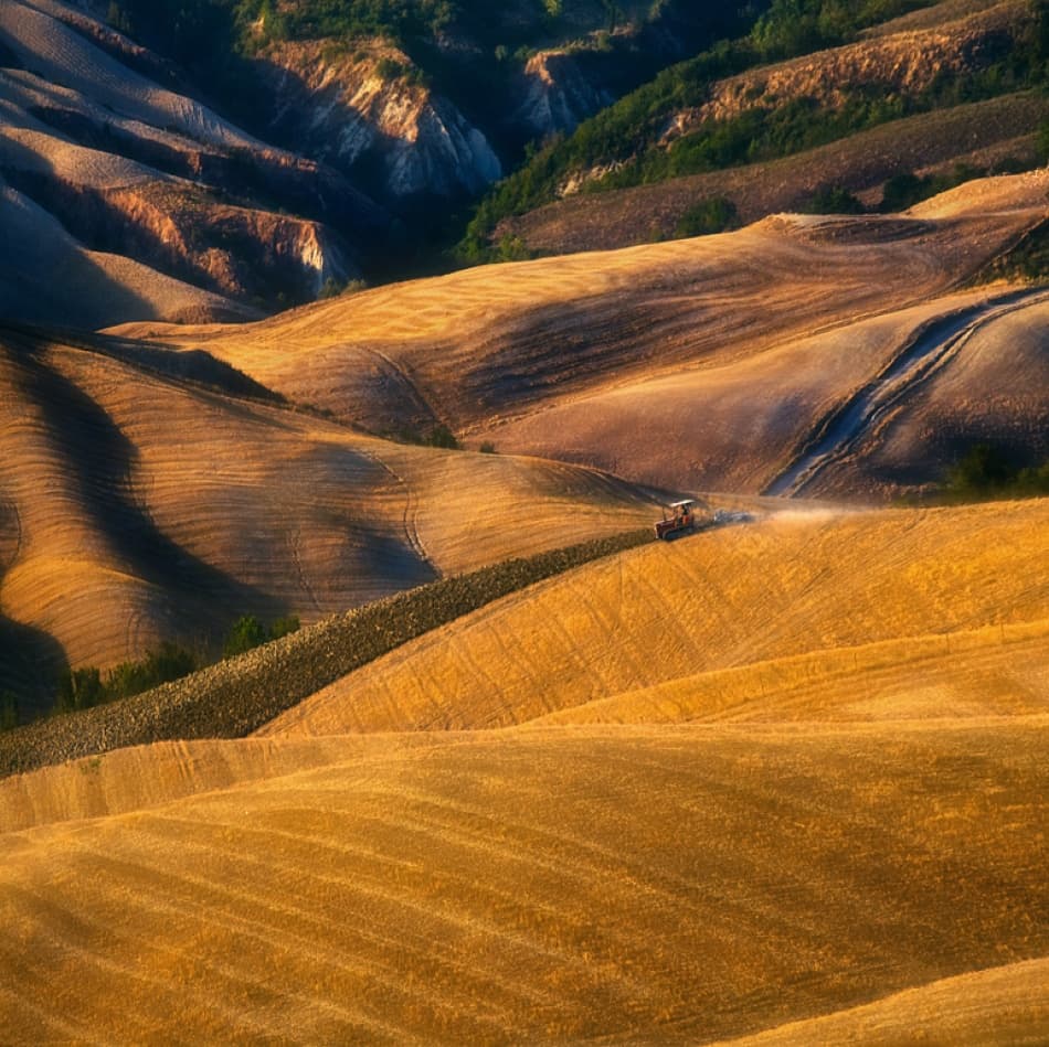 Golden Hills Farming by Krzysztof Browko — canvas wall art