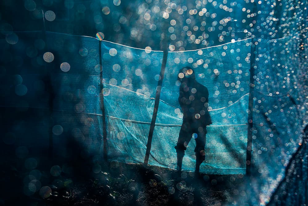 Mysterious Blue Silhouette by Ekkachai Khemkum — canvas wall art