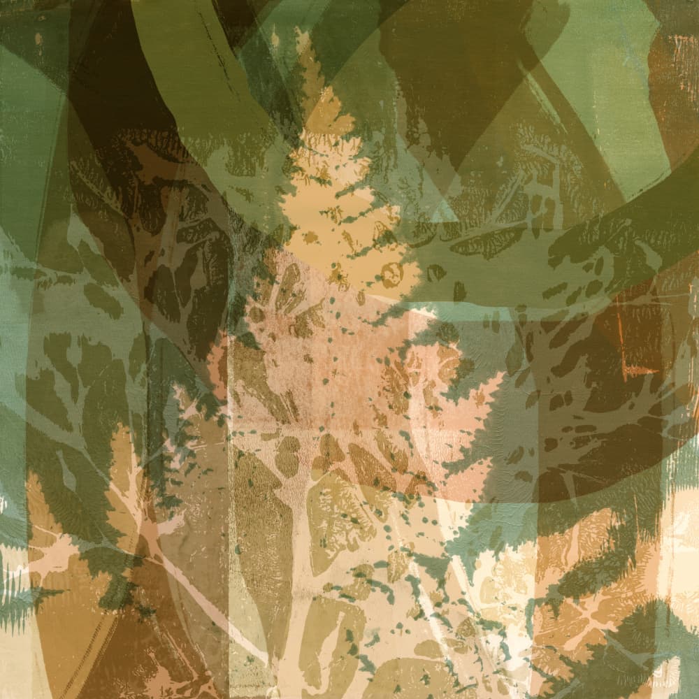 Forest Fern Layers by Dina Dankers — canvas wall art