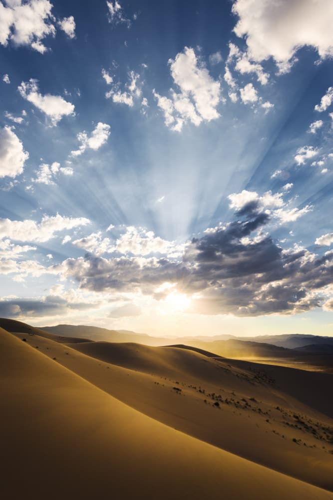 Desert Rays by Stefan Hefele — canvas wall art