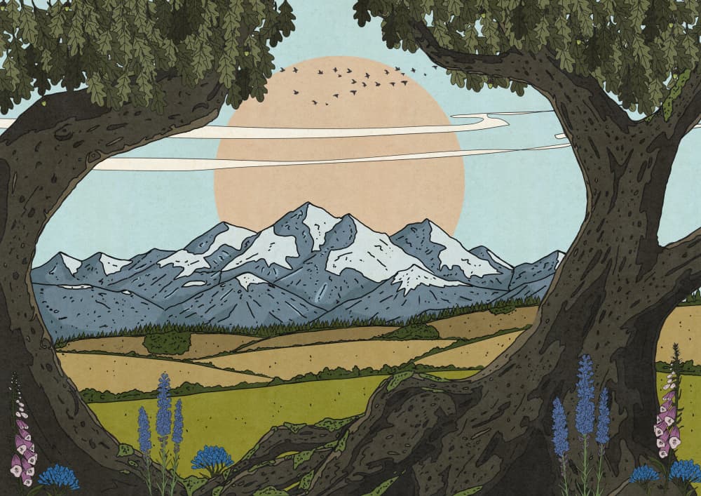 Framed Mountain Valley Sunset by Nicholas — canvas wall art