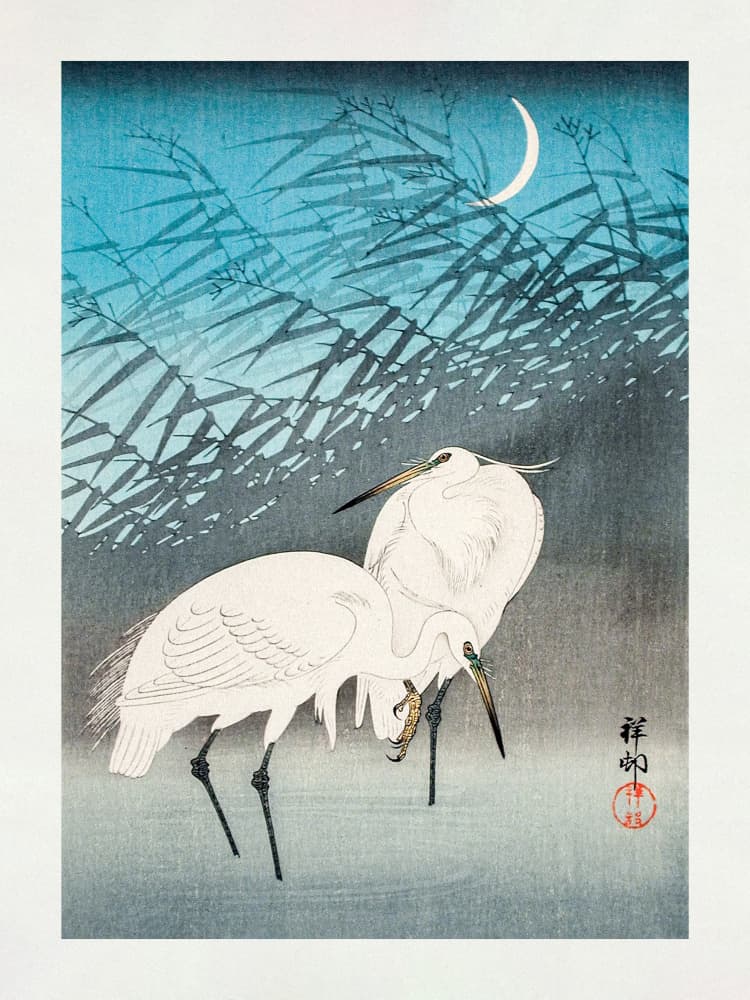 Egrets and Reeds In Moonlight (1926) by Ohara Koson — canvas wall art