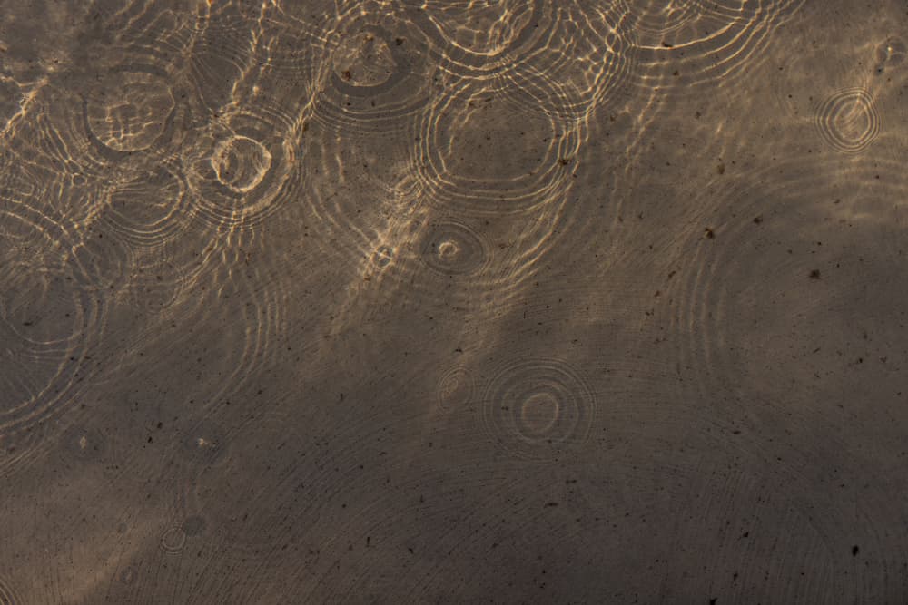 Shimmering Water Circles by Mareike Böhmer — canvas wall art