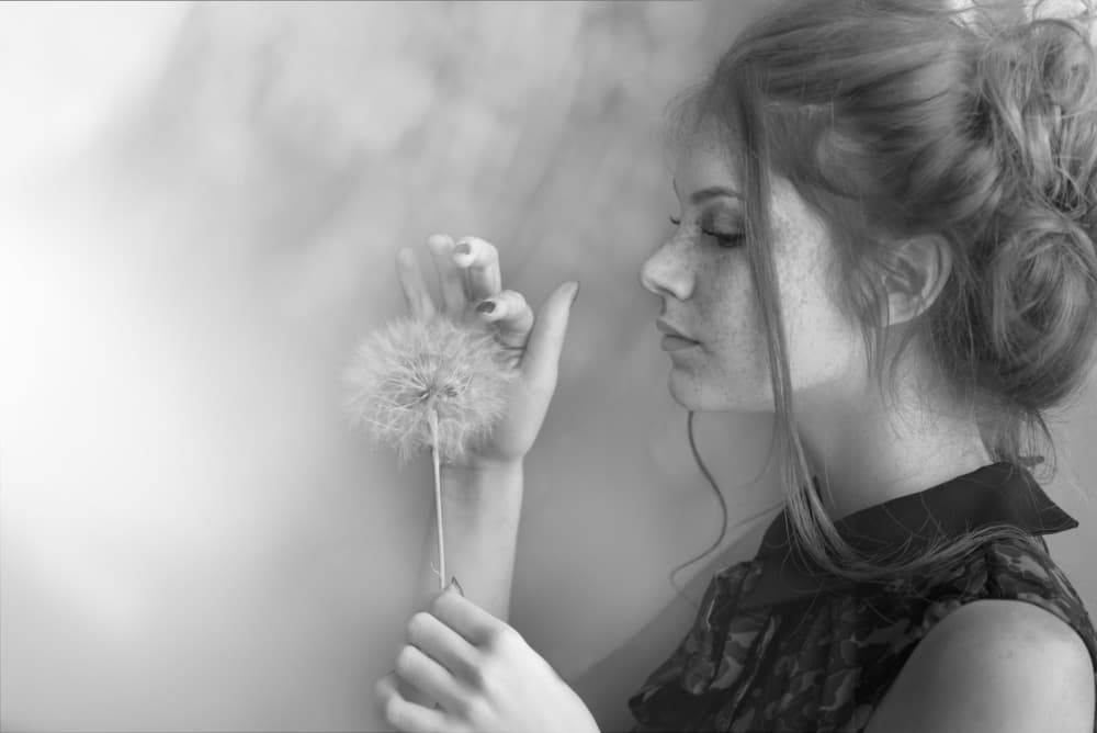 Dreamy Dandelion Wish by Tanya Markova — canvas wall art