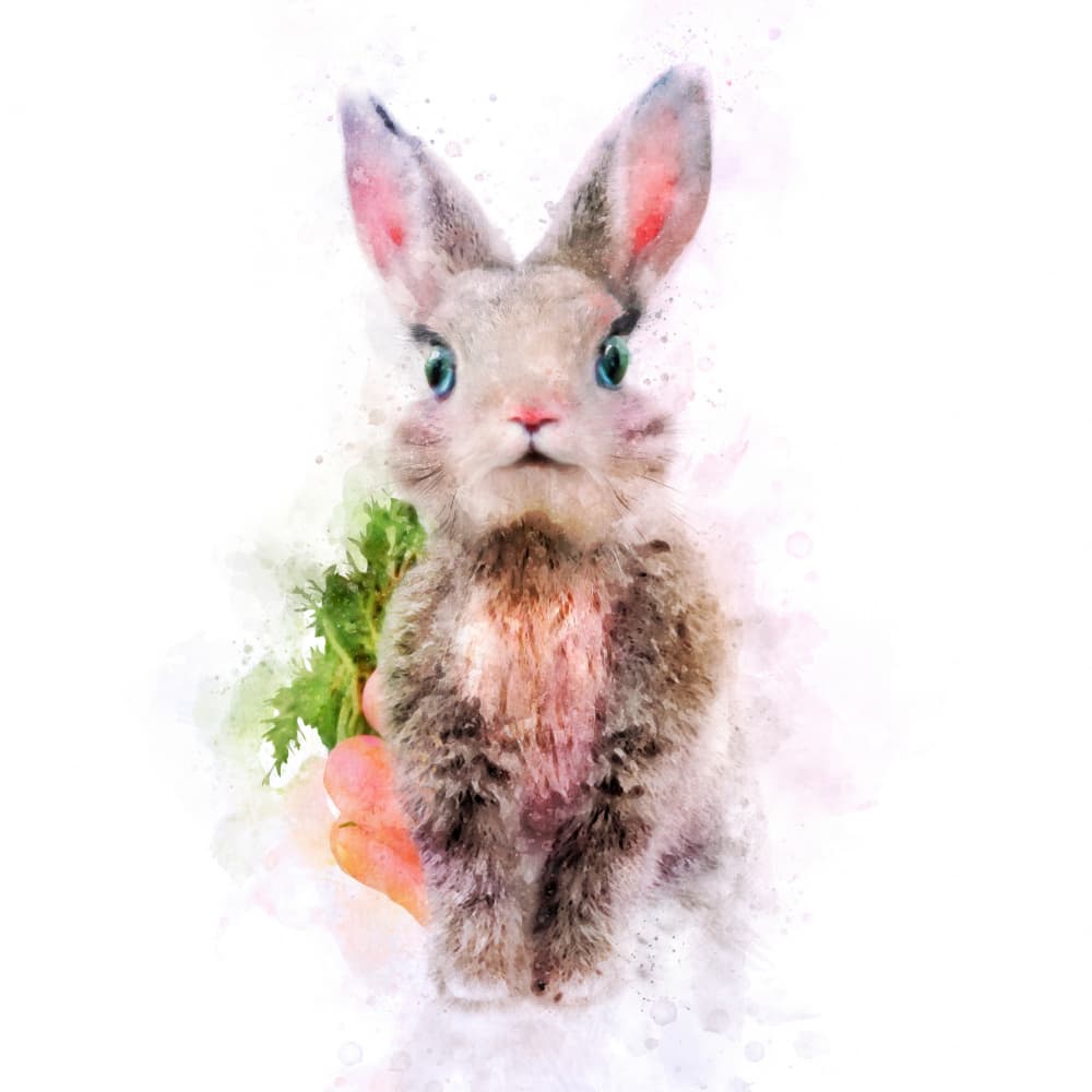 Bunny Bliss by Emel Tunaboylu — canvas wall art