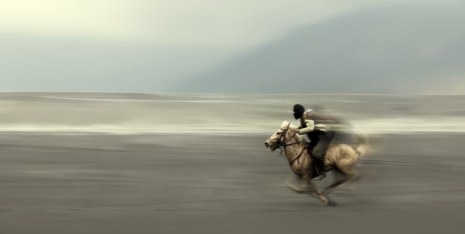 Galloping Horse On Beach by Sebastian Kisworo — canvas wall art