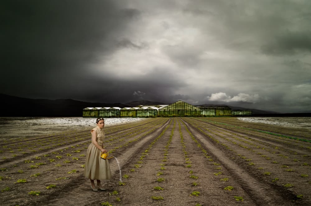 Solitary Gardener Stormy Field by Christine von Diepenbroek — canvas wall art