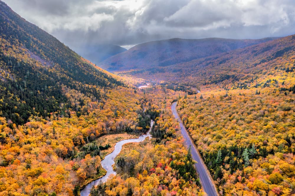 Golden Valley Road by Jun Zuo — canvas wall art
