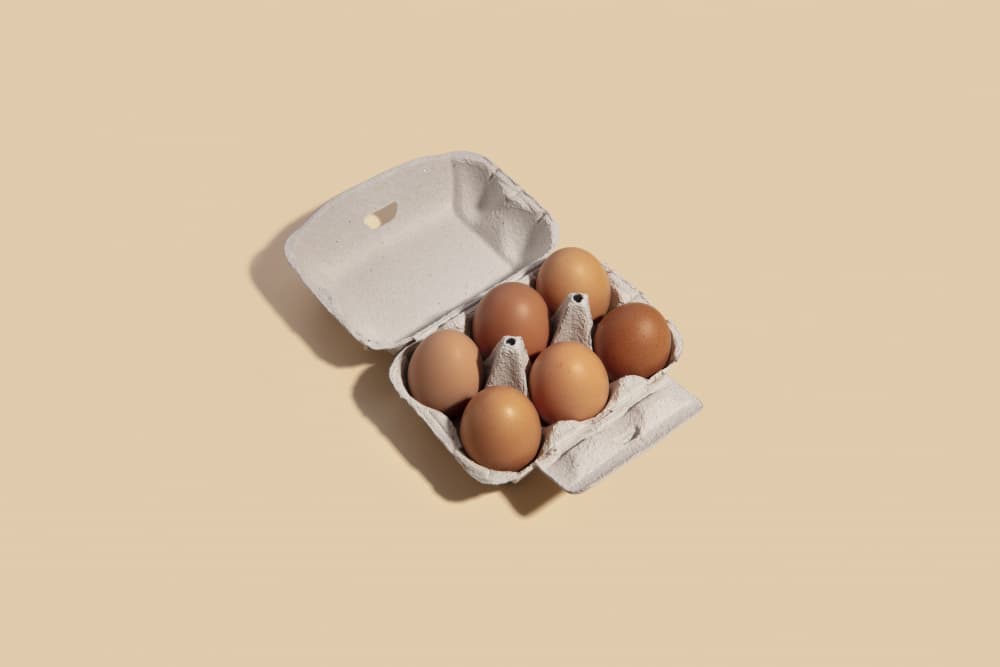 Fresh Brown Eggs by Julia Ramiro — canvas wall art
