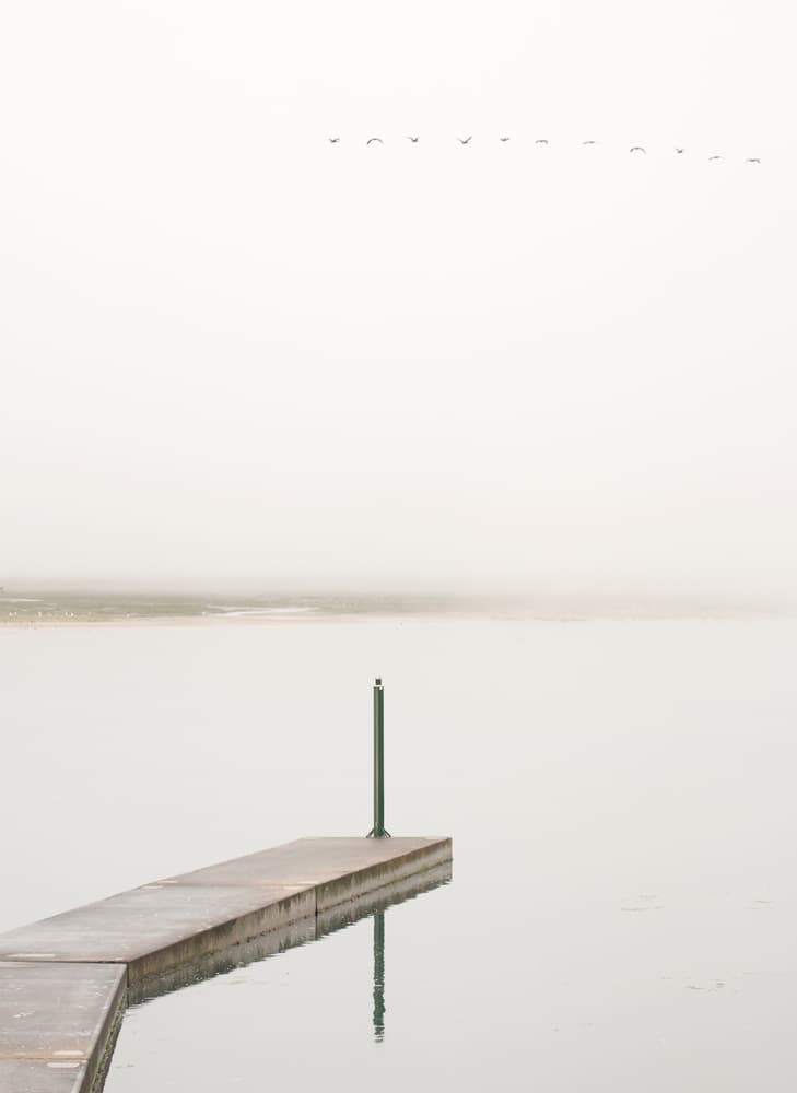 Misty Lake Dock Birds by Jesus Concepcion Alvarado — canvas wall art