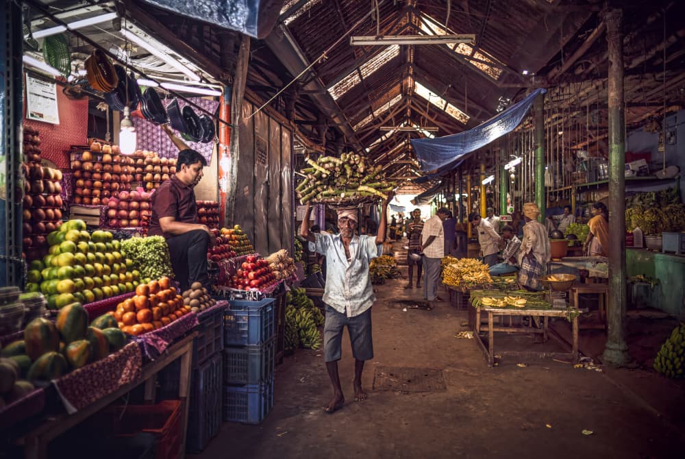 Vibrant Indian Market by Marco Tagliarino — canvas wall art