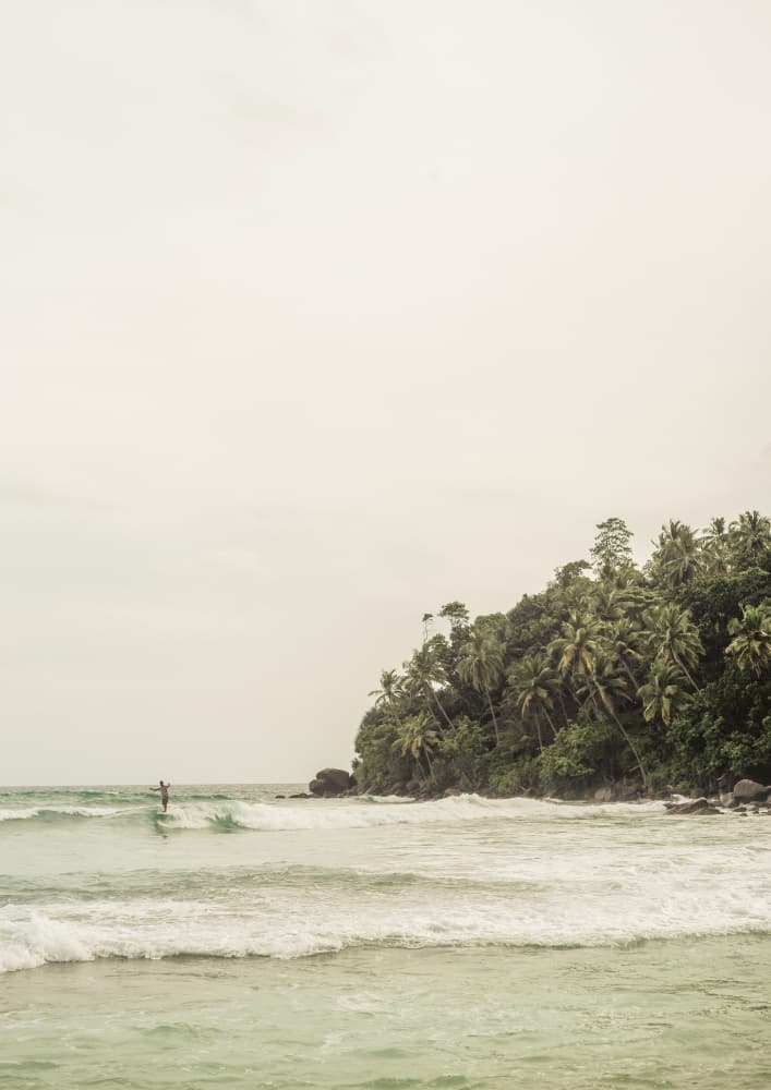 Tranquil Beach Scene With Lush Palm Trees by Shot by Clint — canvas wall art