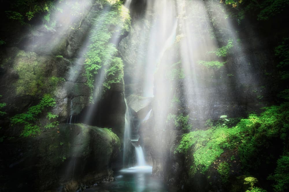 Mystical Forest Waterfall by Daiki Suzuki — canvas wall art