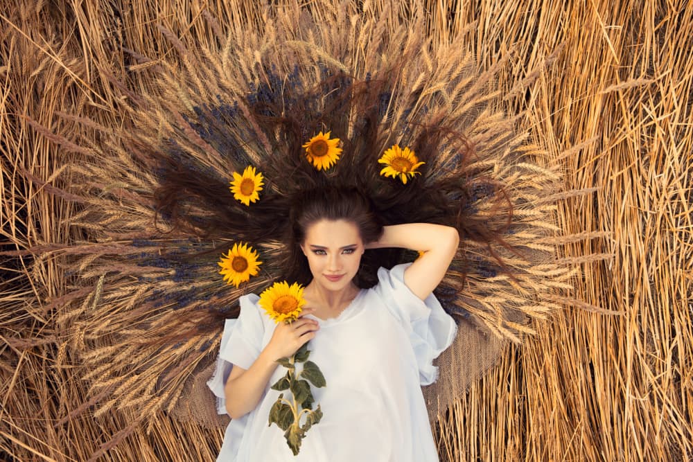 Sunflower Summer Serenity by Mihai Bogdan R — canvas wall art