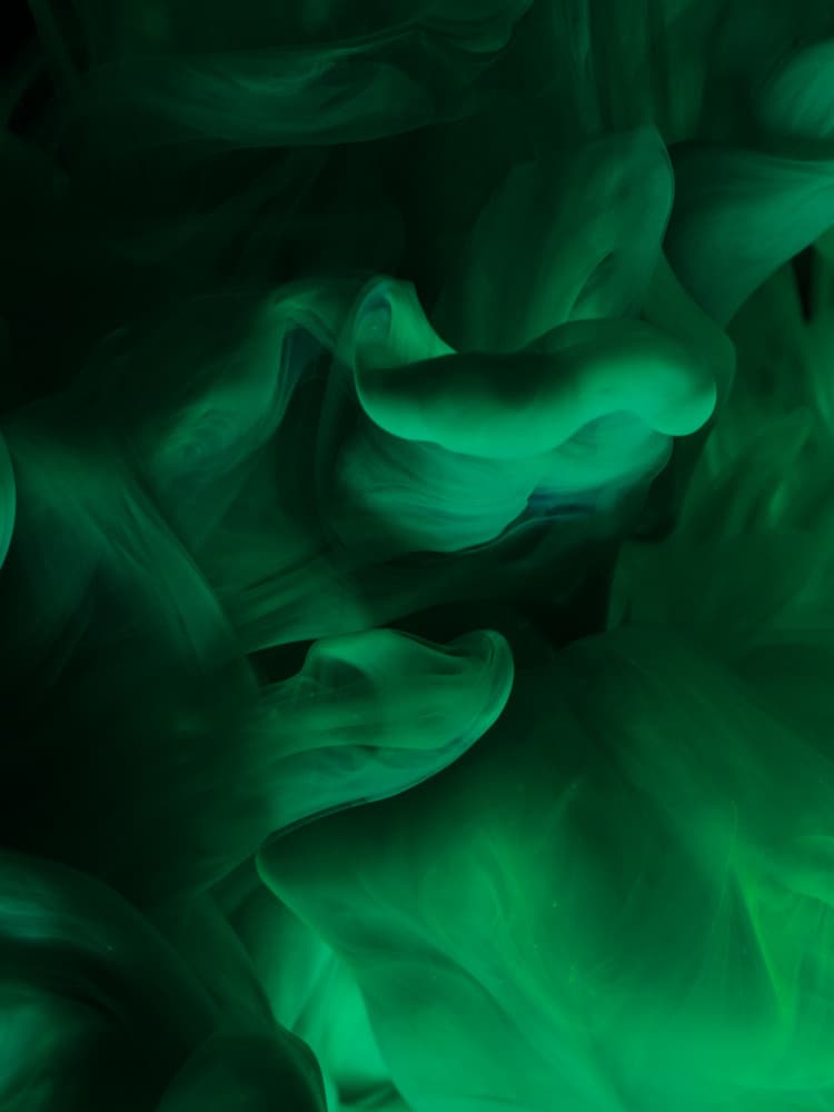 Abstract Green Fluid by engin akyurt — canvas wall art
