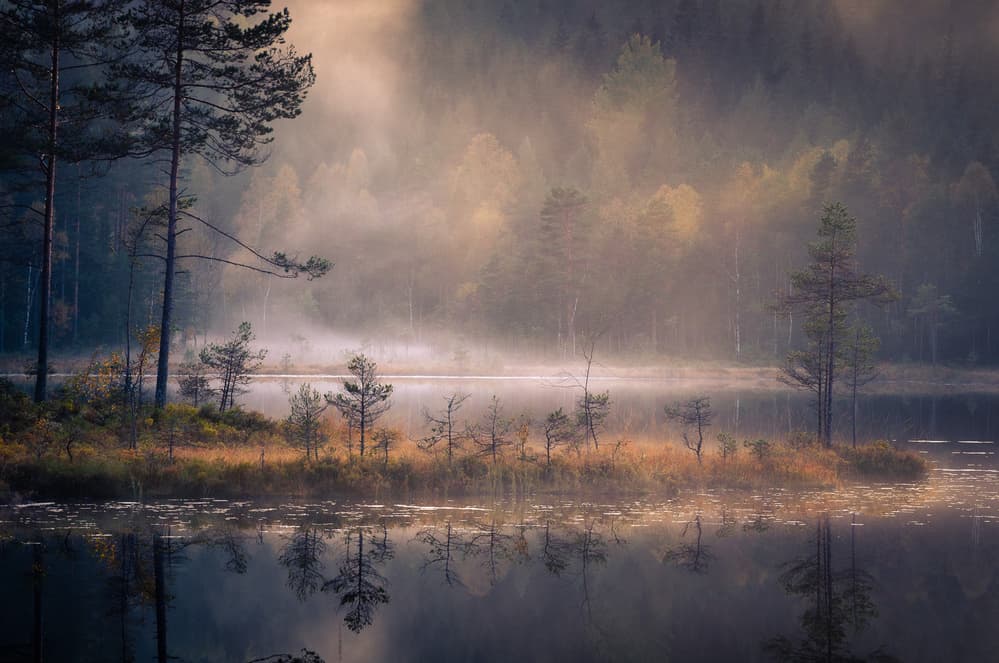 Misty Lake Morning by Andreas Christensen — canvas wall art