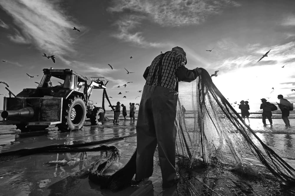 Coastal Fishing Sunrise by Josefina Melo — canvas wall art
