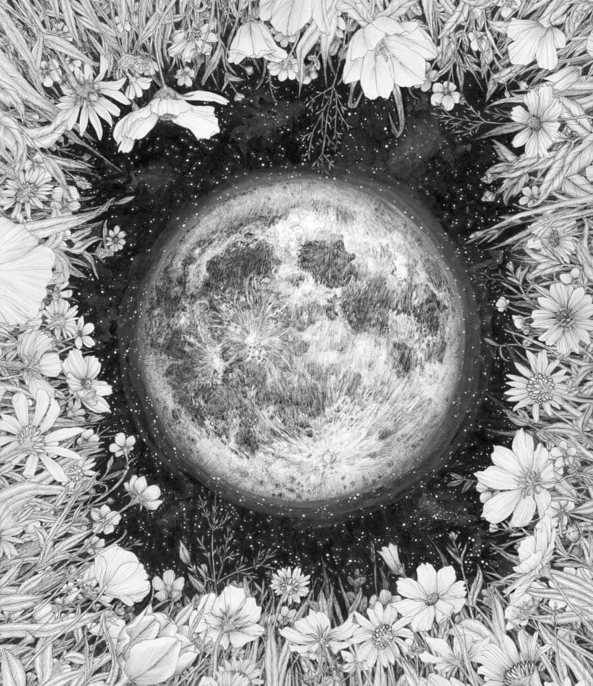 Celestial Flower Moon by EC Mazur — canvas wall art