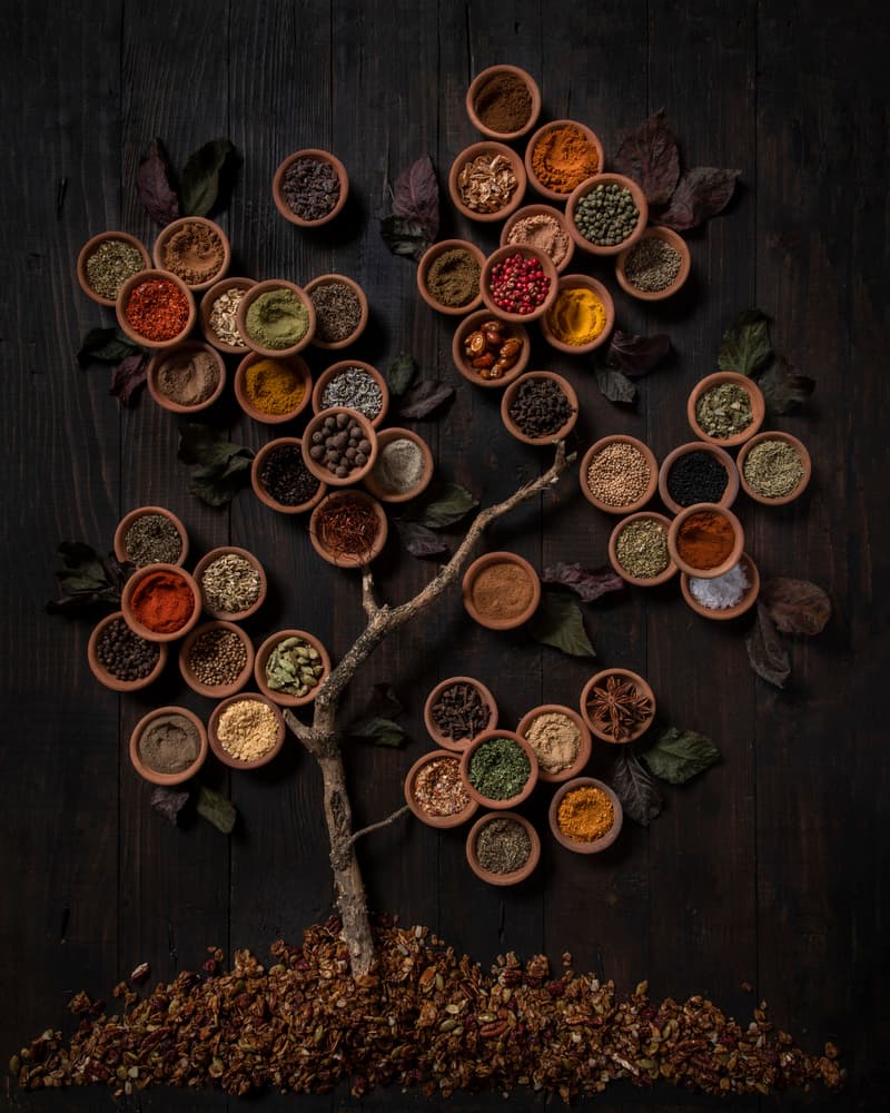 Spice Tree by Diana Popescu — canvas wall art