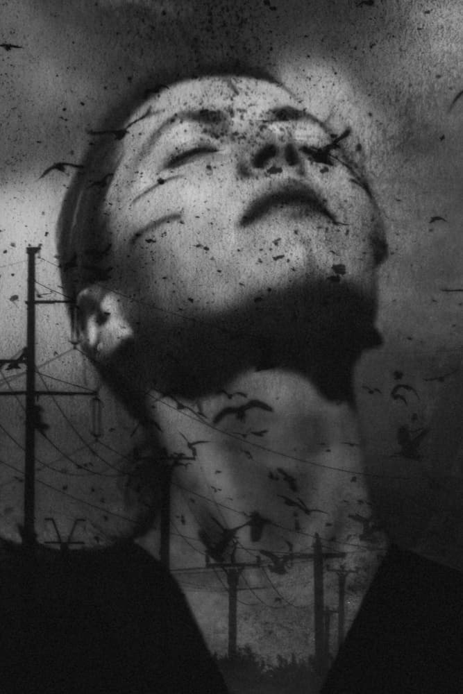 Dreaming with Birds by Bogdan Bouşcă — canvas wall art
