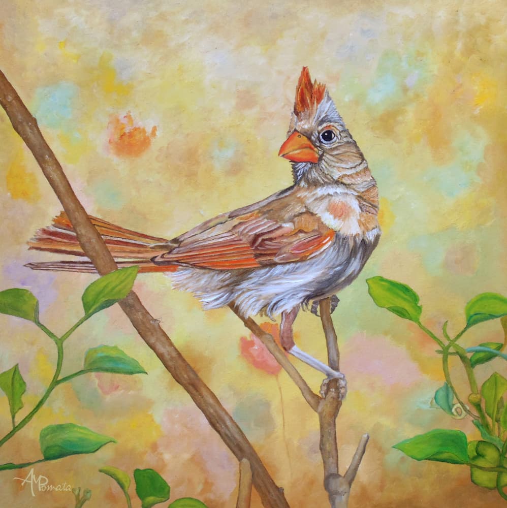 Female Cardinal Perched by Angeles M. Pomata — canvas wall art