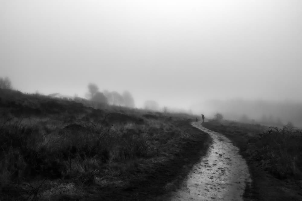 Solitary Foggy Path by Amer Jassim — canvas wall art