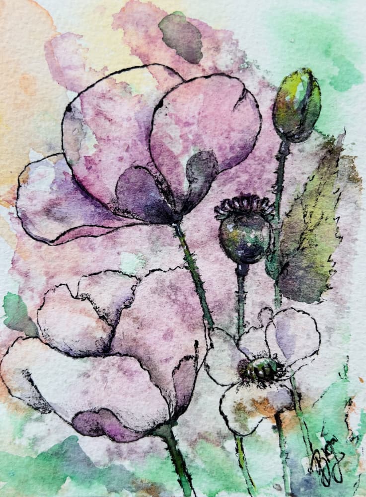 Watercolor Poppy Bloom by Anda Bieza — canvas wall art