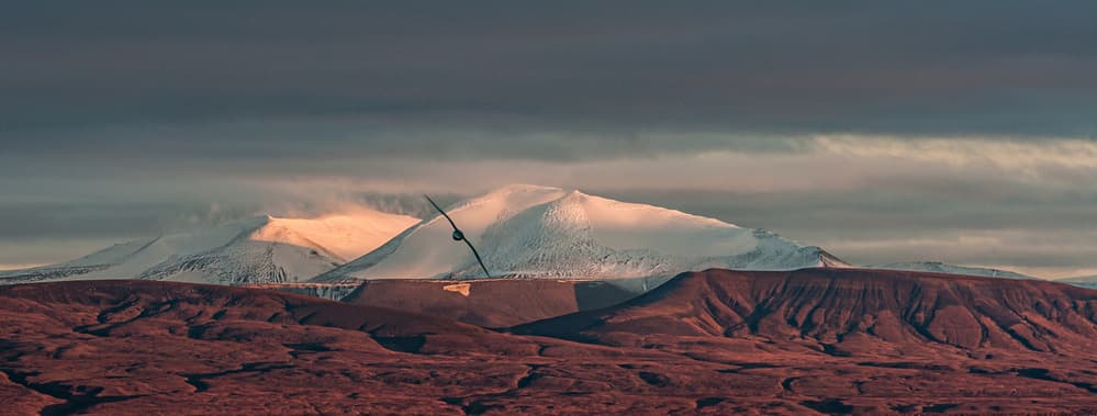 Golden Hour Mountain Flight by Ann Cornelis — canvas wall art