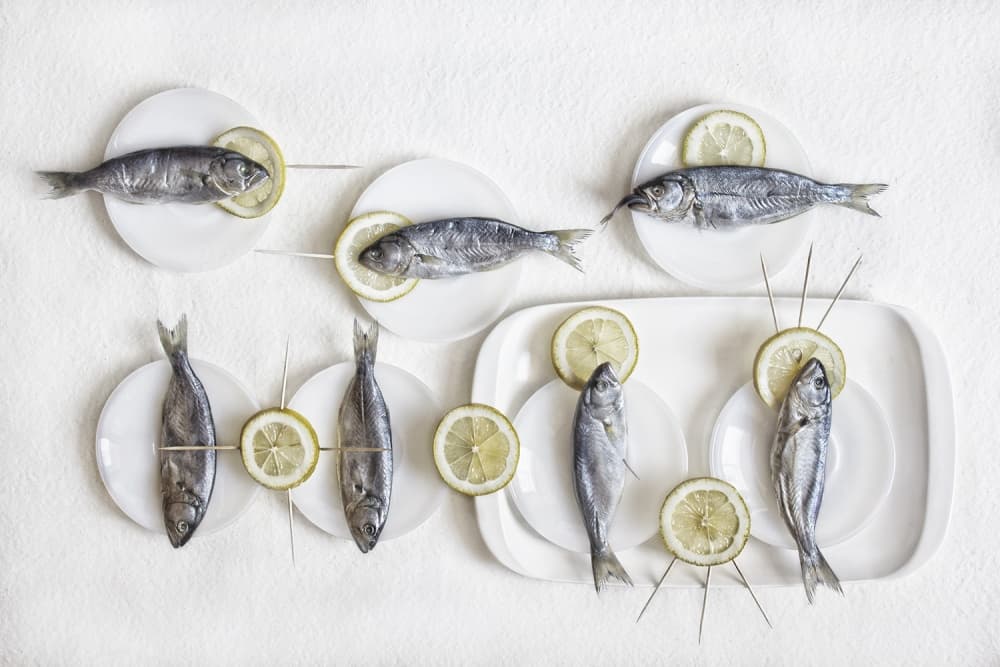 Fresh Fish Arrangement by Dimitar Lazarov - Dim — canvas wall art