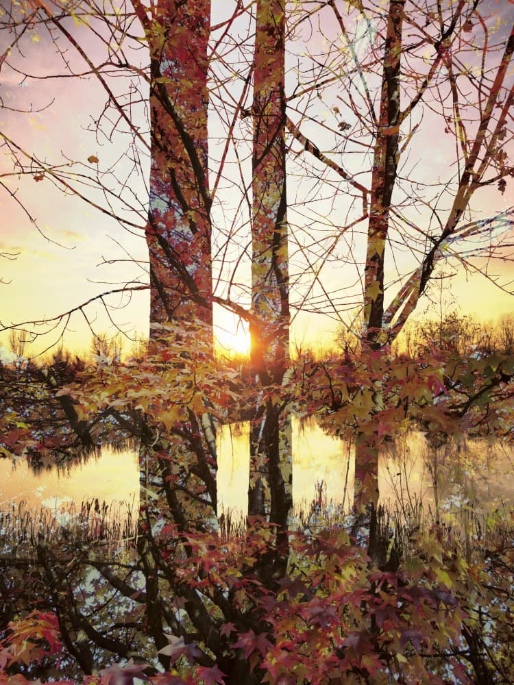 Golden Hour Autumn Reflection by Angelo Cerantola — canvas wall art