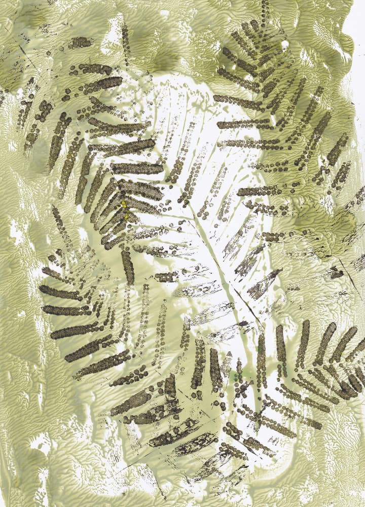 Green Fern Impressions