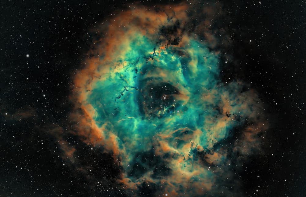 Cosmic Nebula Bloom by TaranSohal — canvas wall art