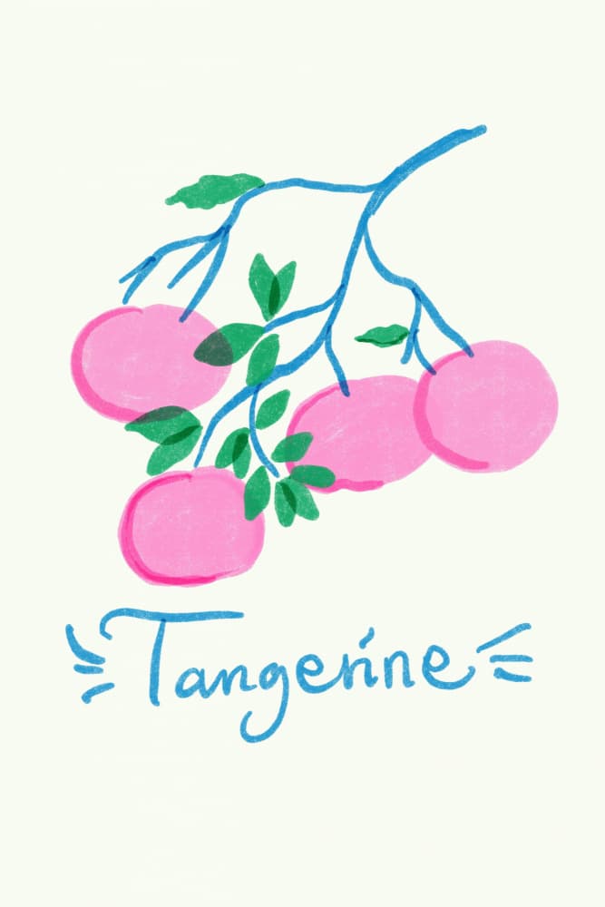 Pink Tangerine Branch by sucidraw — canvas wall art