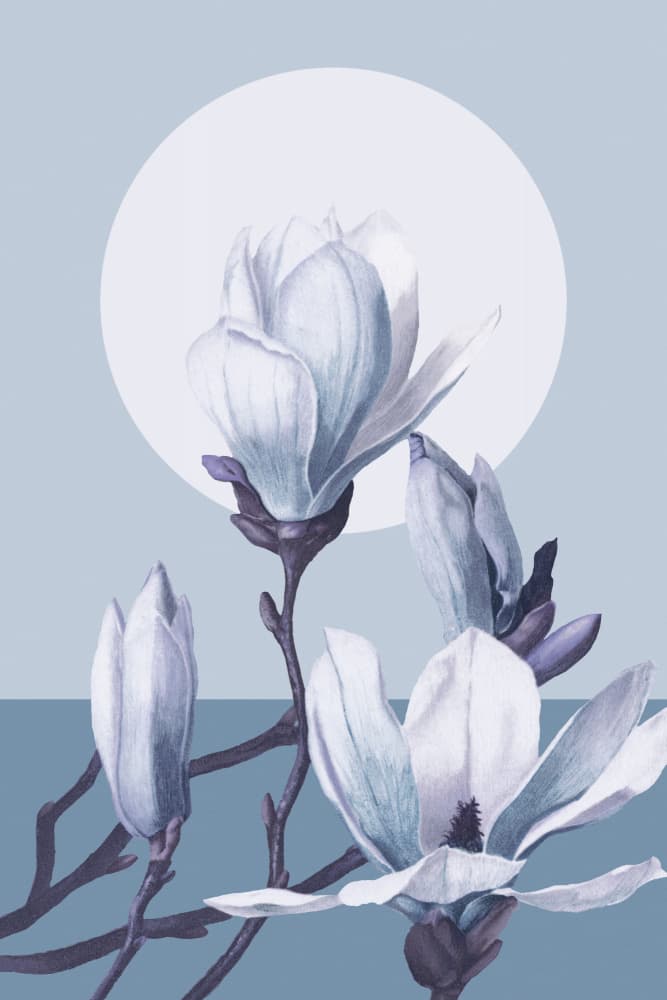 Serene Magnolia Blooms by Marja van den Hurk — canvas wall art