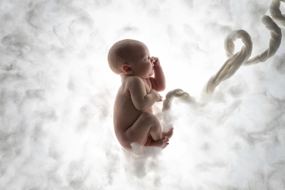 Dreamy Newborn In Clouds by Elena Karagyozova — canvas wall art