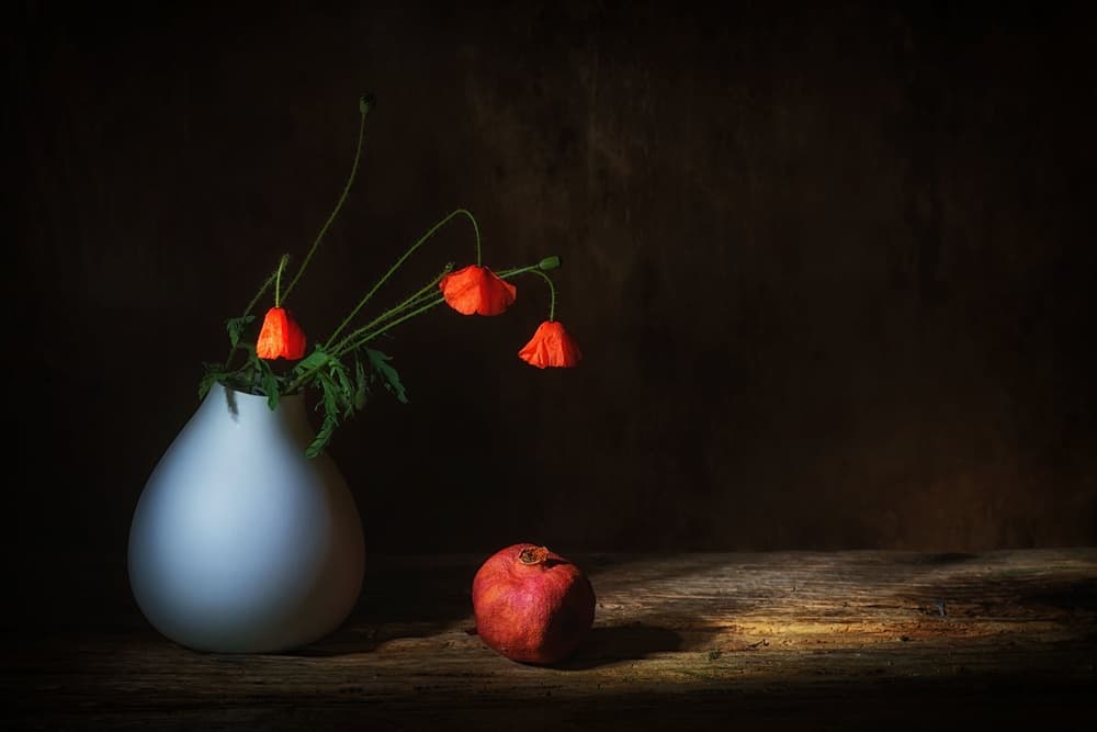 Moody Poppies and Pomegranate by Saskia Dingemans — canvas wall art