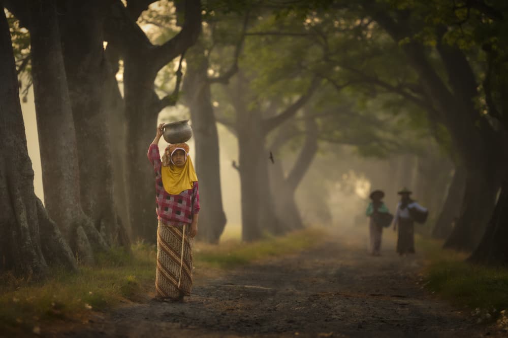 Misty Path Morning Walk by Rini Widyantini — canvas wall art