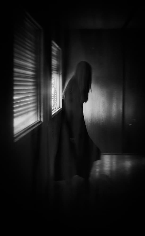 Eerie Ghostly Figure by Elena Raceala — canvas wall art