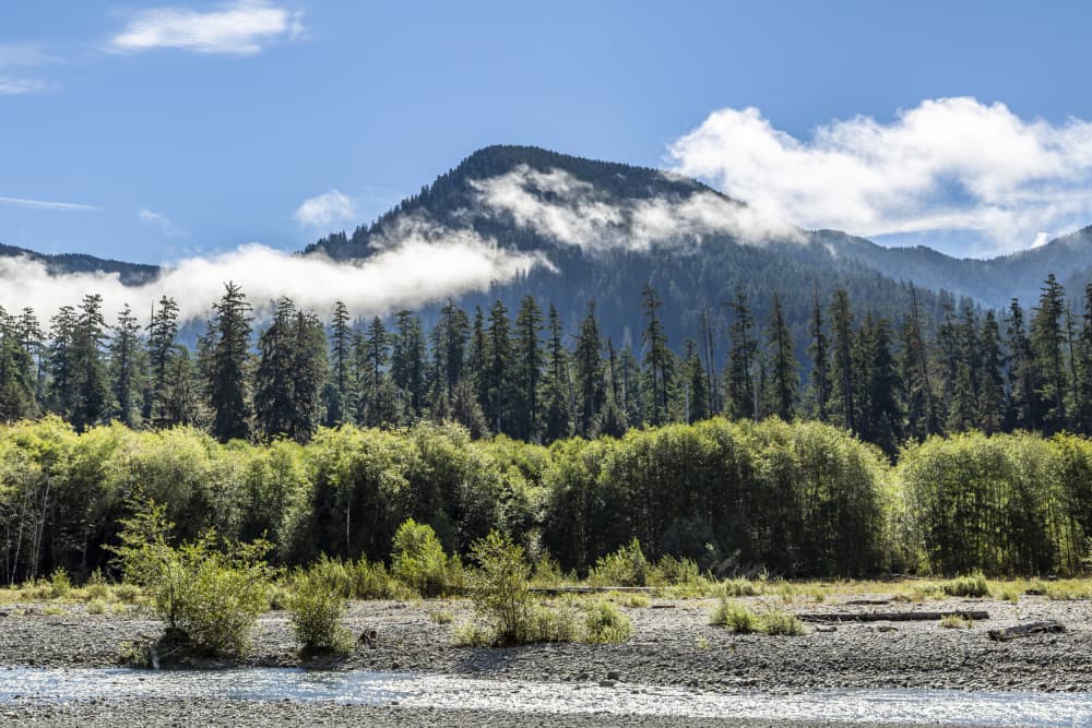 Cloud-Kissed Mountain River by Melanie Viola — canvas wall art