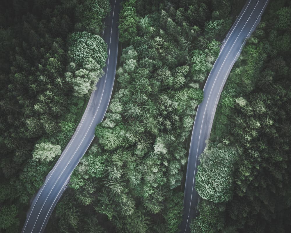 Winding Forest Roads by Marcus Hennen — canvas wall art