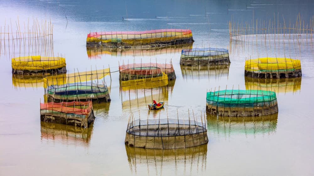 Colorful Fishing Waters by Shin Woo Ryu — canvas wall art
