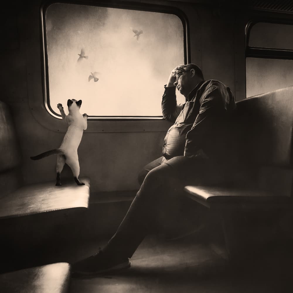 Lonely Man Curious Cat by Evgenii Novichikhin — canvas wall art