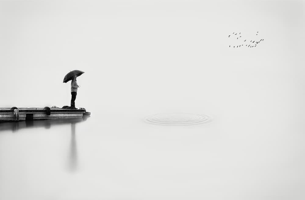 Quiet Reflection on Water by Fran Osuna — canvas wall art