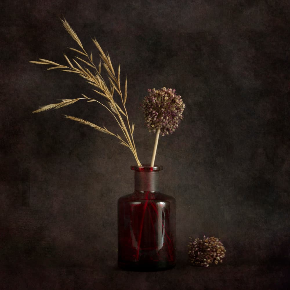 Moody Dried Botanicals by Cicek Kiral — canvas wall art