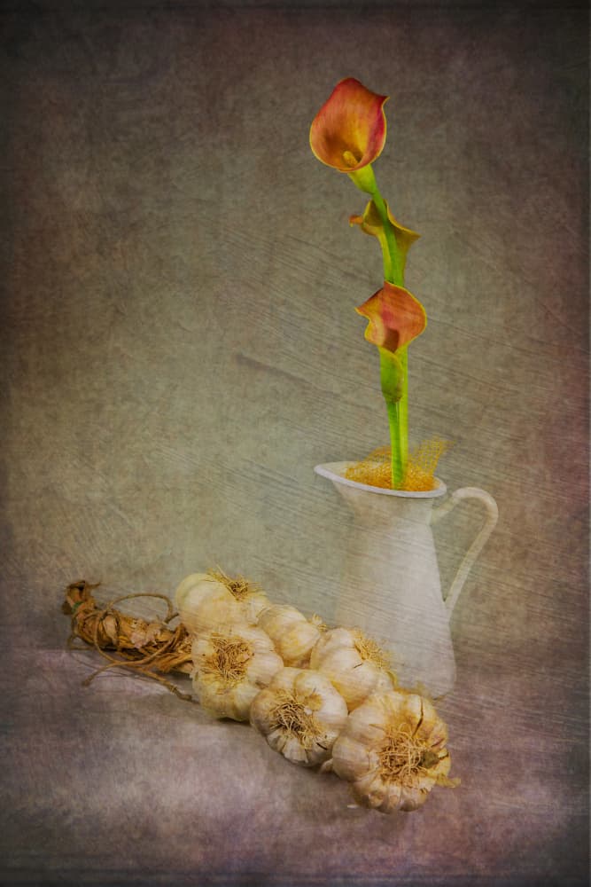 Rustic Garlic Calla Lilies by Felice Angelino — canvas wall art